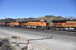 BNSF 8029